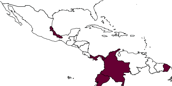 map of Foxita boliviae     Leclercq, 1955